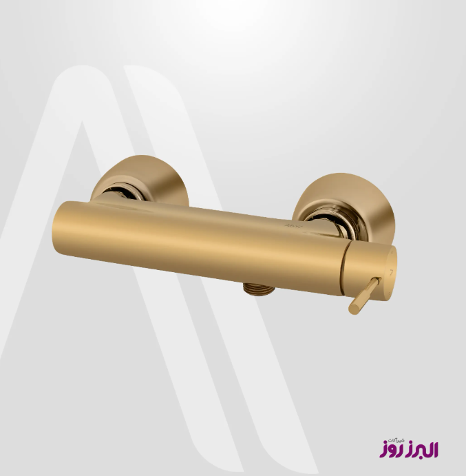 شیر توالت رومانیا